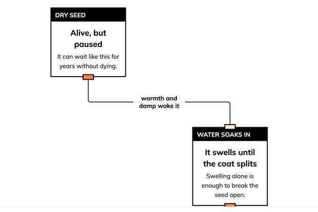 Five steps — and the surprising one is which direction it grows first