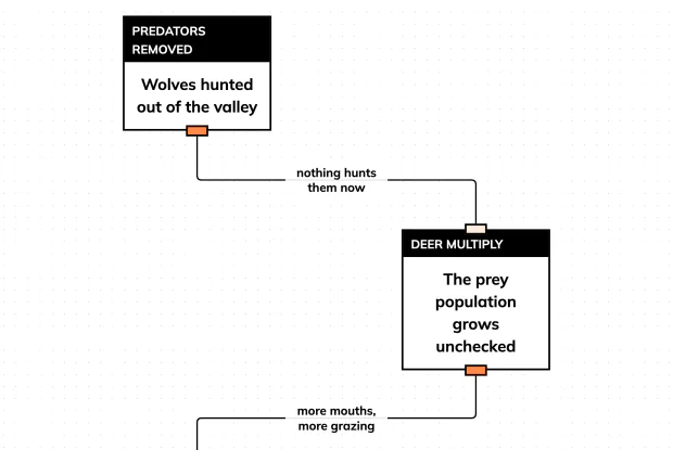 Follow the chain of consequences from a missing predator to an eroding riverbank