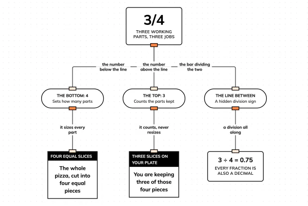 Build 3/4 down into its three parts, and what each one does