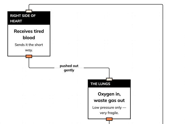 One pump, two circuits — and the reason is a pressure problem, not a plumbing accident